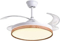 BEL AIR HOME, Plafondventilator COSMOS, DC-motor met 6 snelheden, Uitschuifbare plexiglas vleugels, 36W LED-licht in 3 kleurtemperaturen