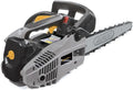 Alpina APR 25 C Motorzaag met verbrandingsmotor, 10 inch, benzinemotor 25,4 cc (900 W), stang 25 cm, zwart