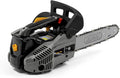 Alpina APR 25 Astkettingzaag, snijrail 25 cm (10 inch), verbrandingsmotor 25,4 cc, 900 W, kettingsnelheid 21 m/s, automatische oliepomp instelbaar