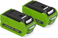 2x 40V 6Ah DREAMDASH Reservebatterij voor Greenworks Accu G40B2 G40B4 G40B5, groen