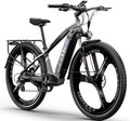 Cysum MTB Elektrische fiets voor heren, 73,7 cm (29 inch), elektrische mountainbike, elektrische terreinfiets, afneembare lithiumbatterij 720 Wh