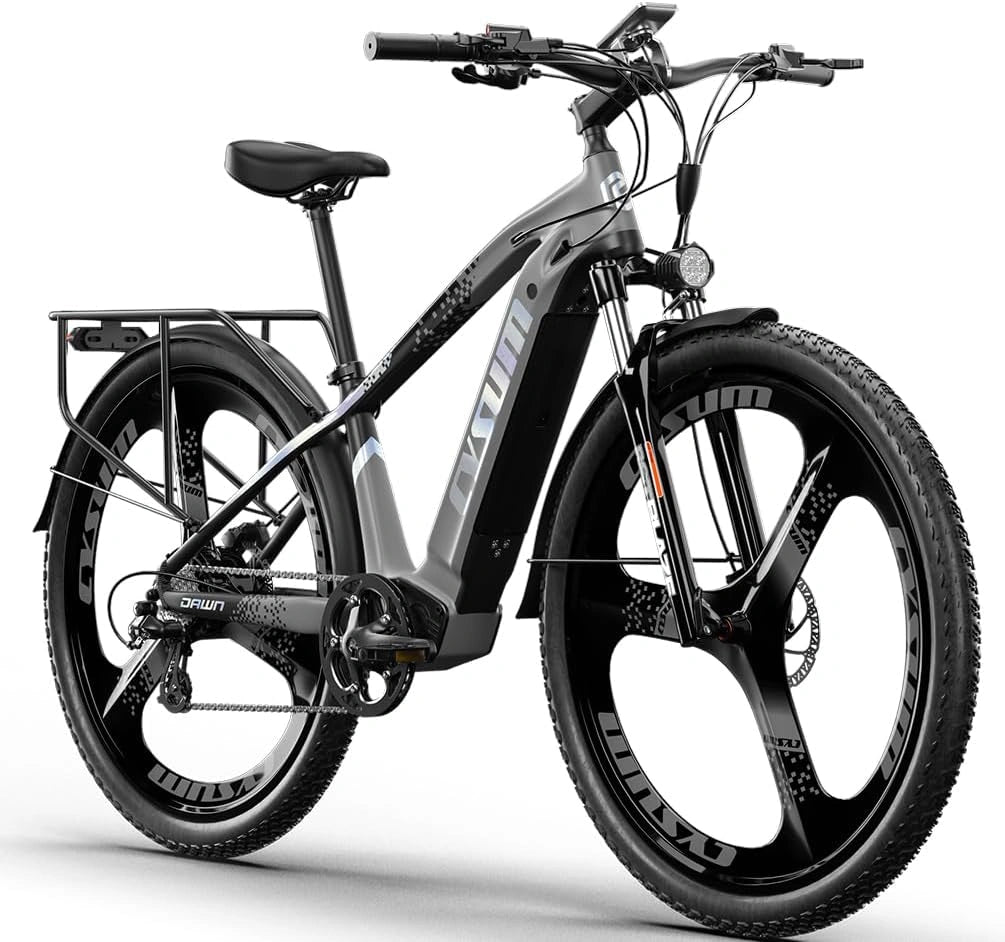 Cysum MTB Elektrische fiets voor heren, 73,7 cm (29 inch), elektrische mountainbike, elektrische terreinfiets, afneembare lithiumbatterij 720 Wh