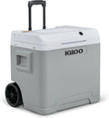 IGLOO IE42 elektrische koelbox 42 liter, 12V en 230V, Thermo-elektrische koelbox met wielen en telescoopgreep voor auto, camper